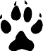 Avatar utilizator