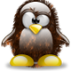 Avatar utilizator