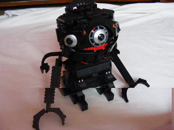 Copy of 2011_071310076.jpg