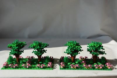 DSC_0366 - Copy.JPG