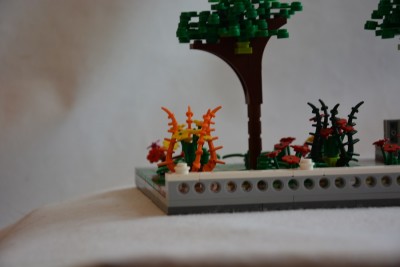 DSC_0408 - Copy.JPG