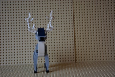 DSC_1120 - Copy.JPG