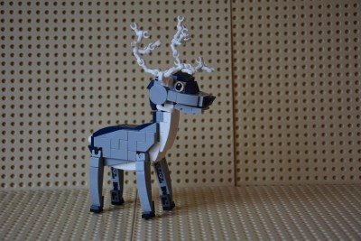 DSC_1119 - Copy.JPG