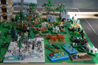 DSC_4010 - Copy.JPG